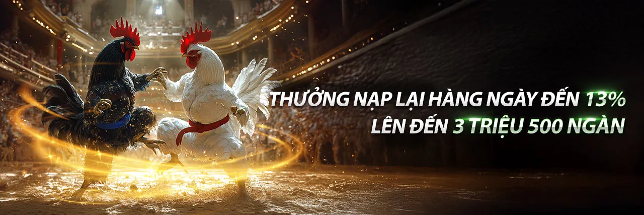 Đá Gà Trực Tuyến Hấp Dẫn tại vipvin nổ hũ