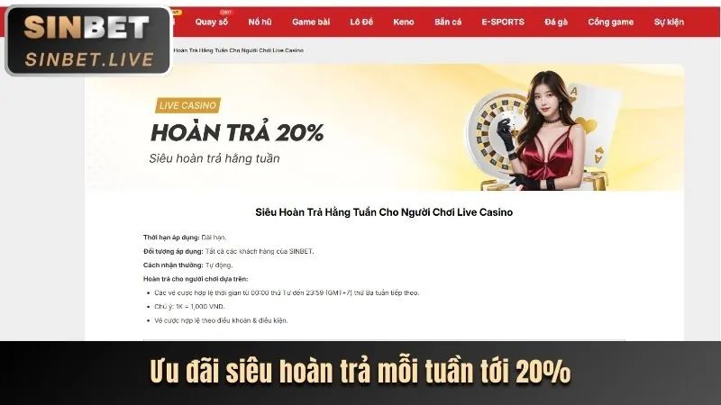 Chương Trình VIP và Phần Thưởng Đặc Biệt